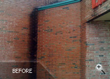 Before & After Photos